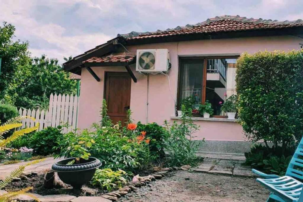 ブルガス Cute Little House With A White Picket Fenceヴィラ エクステリア 写真